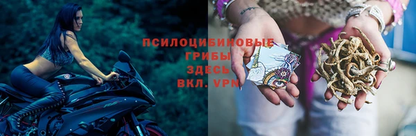 ешки Алзамай