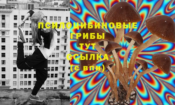соль курить ск Алексин
