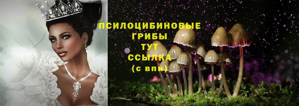ешки Алзамай