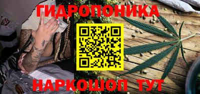 гидра Заволжье